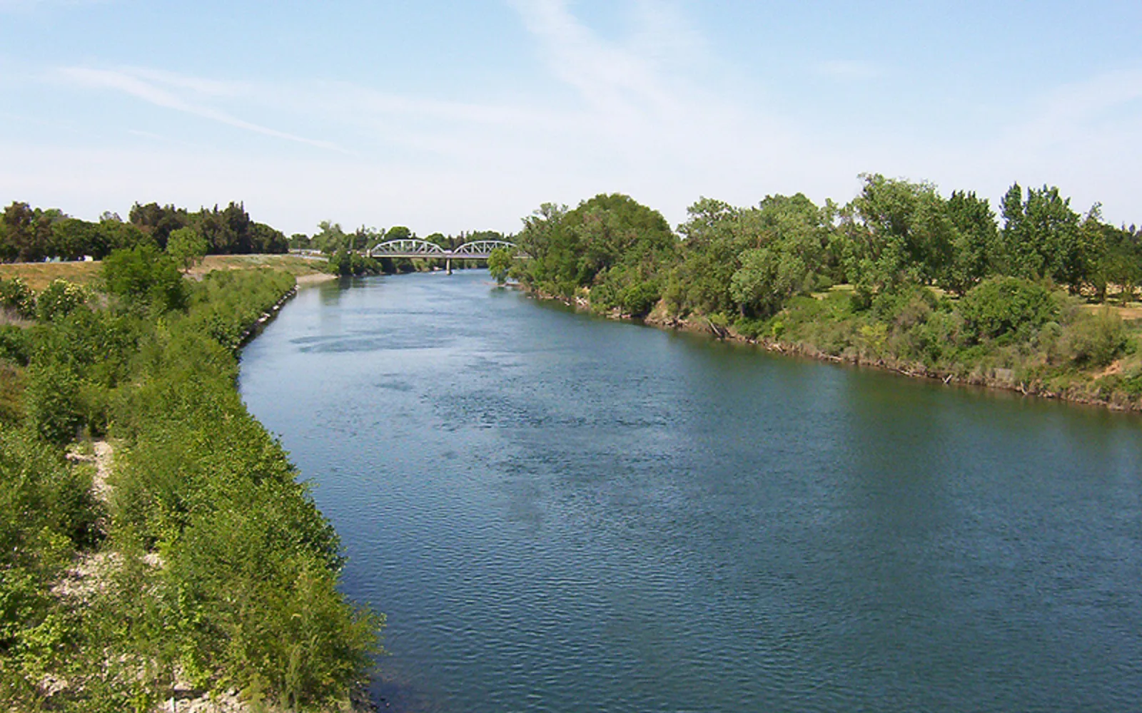 View of the American River at Sacramento State University from the Guy West Bridge, with landscape and riverbank vegetation